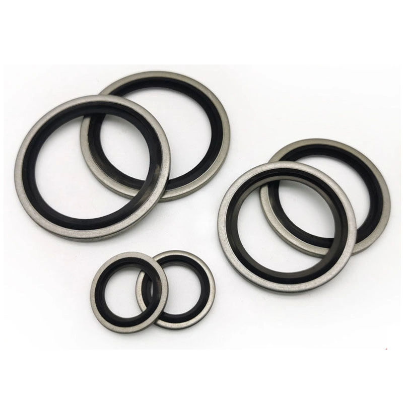 Αυτοκεντρικό 304 ανοξείδωτου χάλυβα Dowty Seal Gasket NBR Rubber Bonded Seal Washer 0