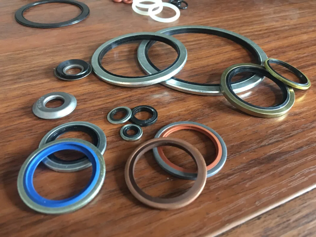 Αυτοκεντρικό 304 ανοξείδωτου χάλυβα Dowty Seal Gasket NBR Rubber Bonded Seal Washer 2