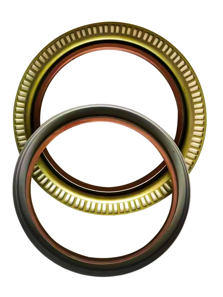 Σφραγίδα πετρελαίου TCN με σκελετό O-ring και συνδυασμό πλυντηρίου 13