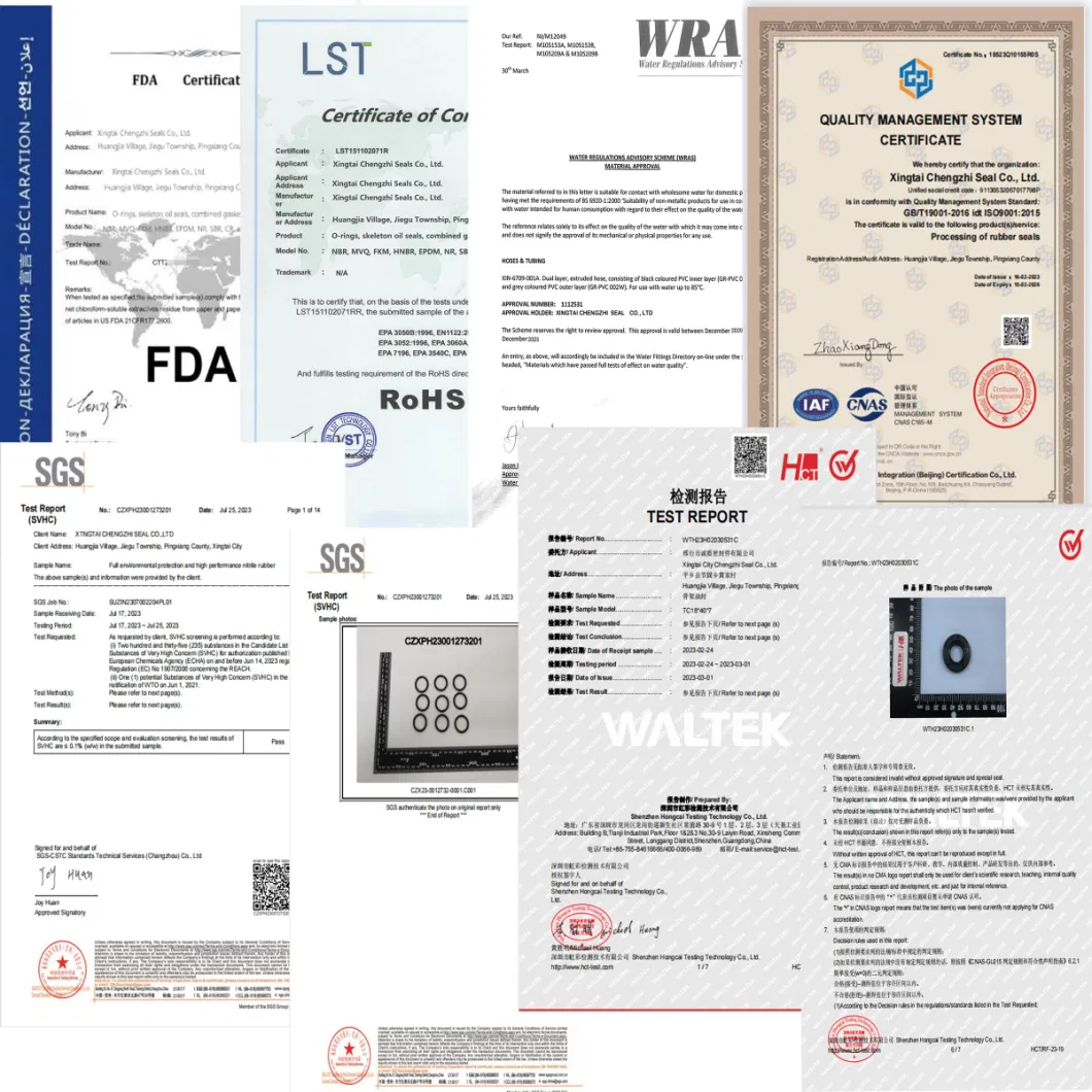 Σφραγίδα πετρελαίου με ολοκληρωμένη ενσωμάτωση σφραγίδων από καουτσούκ για βιομηχανική σφραγίδα πετρελαίου του ΟΗΕ 21